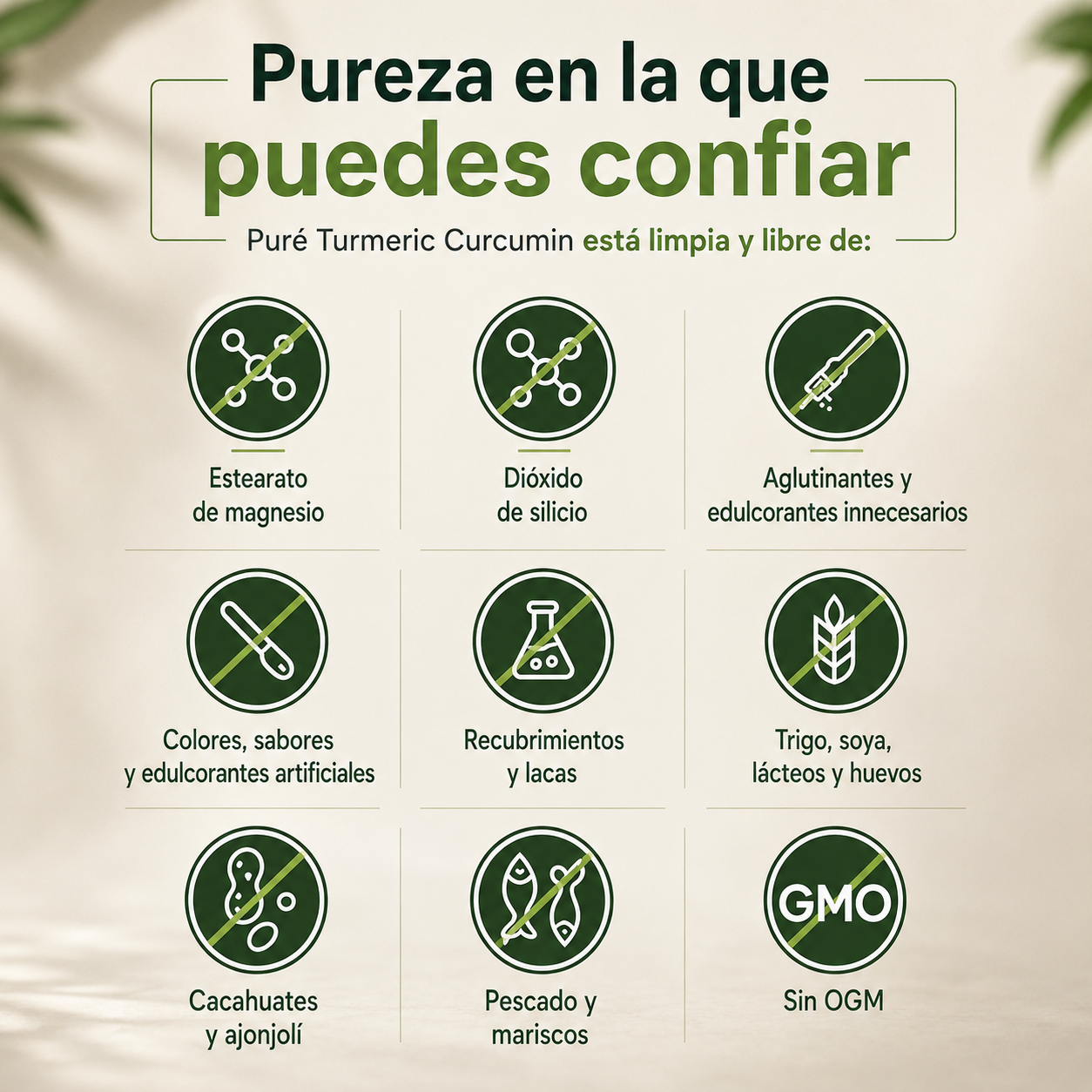 Pure Turmeric Curcumin Mayor Movilidad y Bienestar